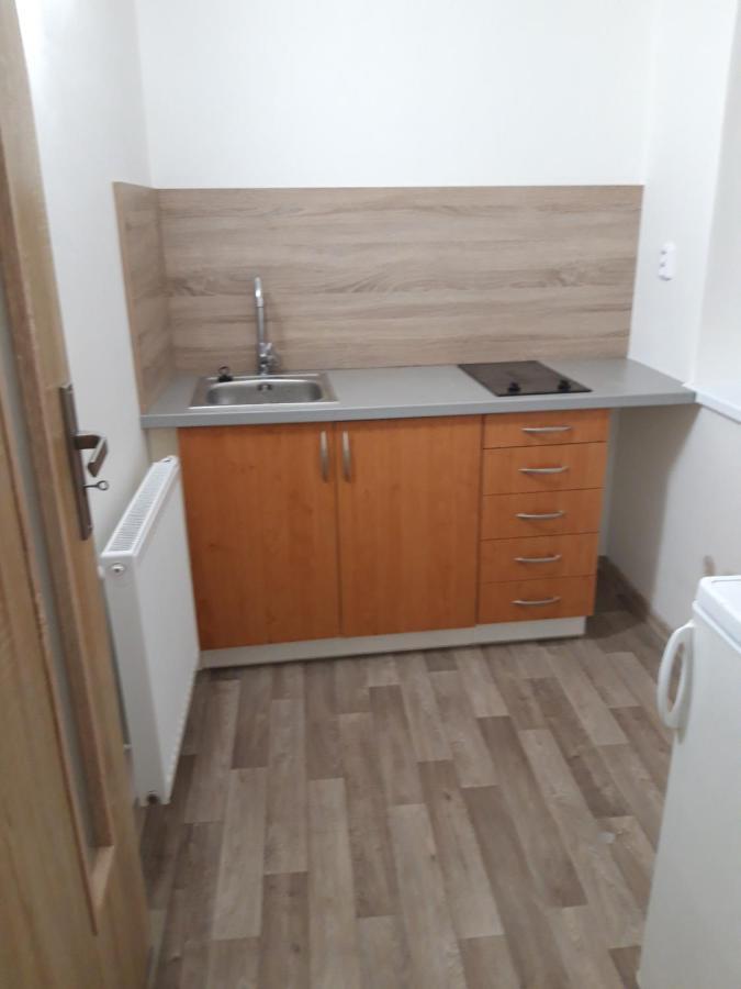 Apartman Plasy Exteriör bild